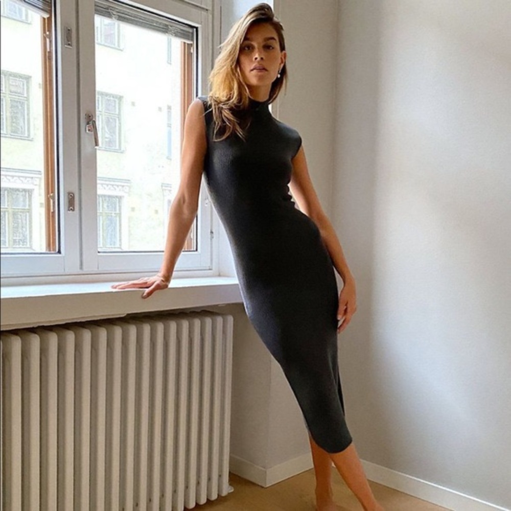 Wilfred by Aritzia Pinot Sweater Dress